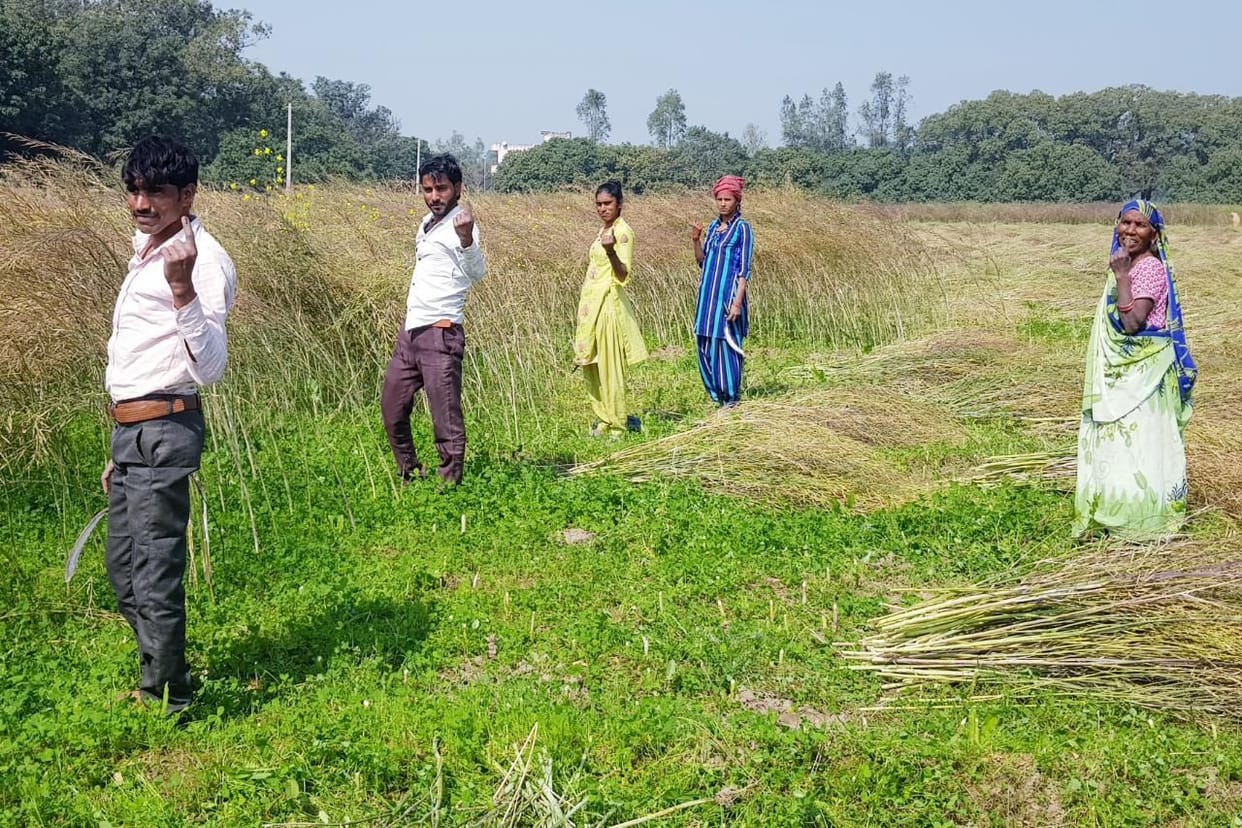 Voted first, then farmers reached the field