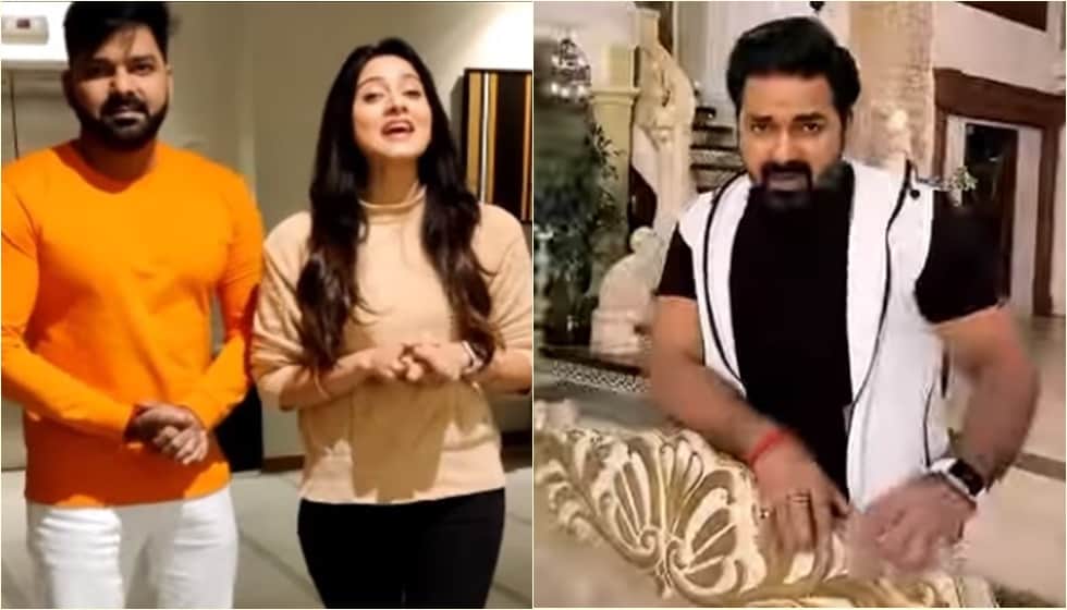 from Khesari Lal Yadav to Monalisa and Aamrapali Dubey Know the Educational Qualification of Bhojpuri Stars