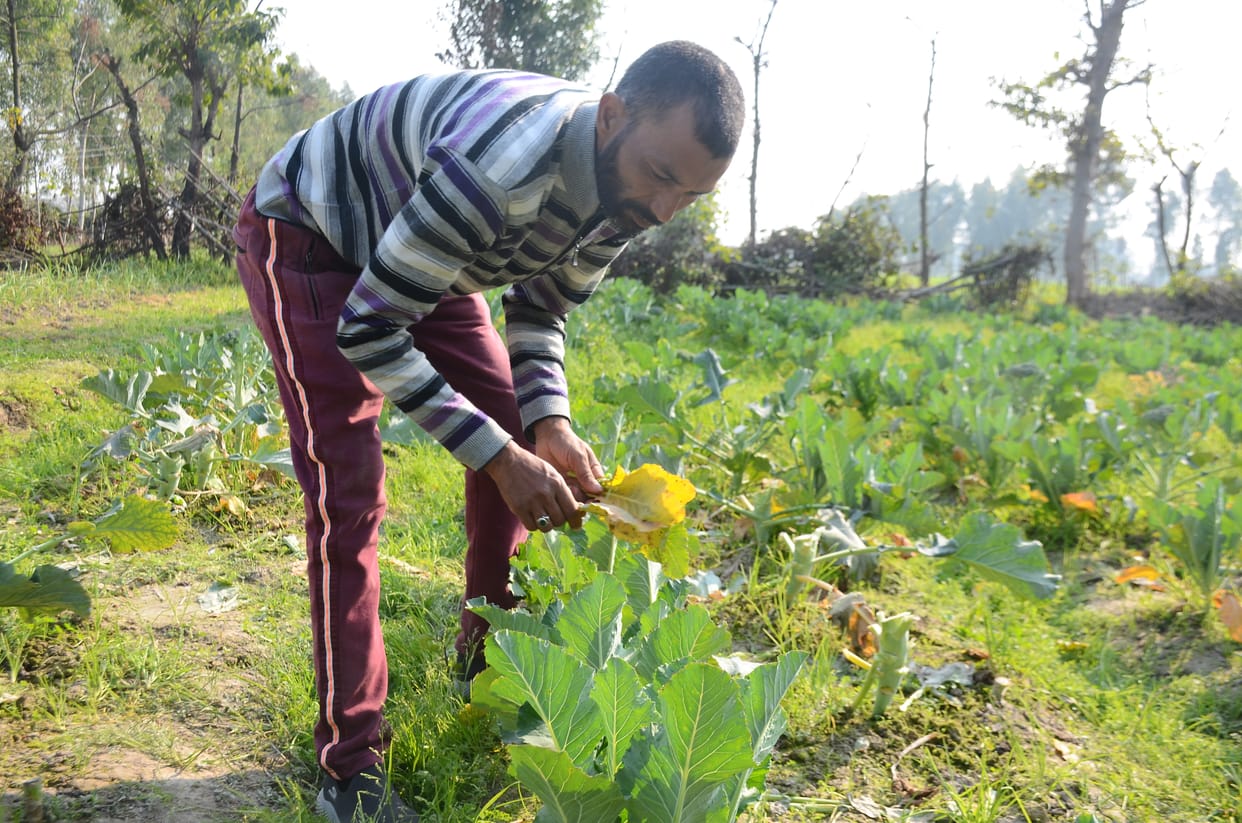 Lt Governor praised farmer Sonu Singh for improved agriculture