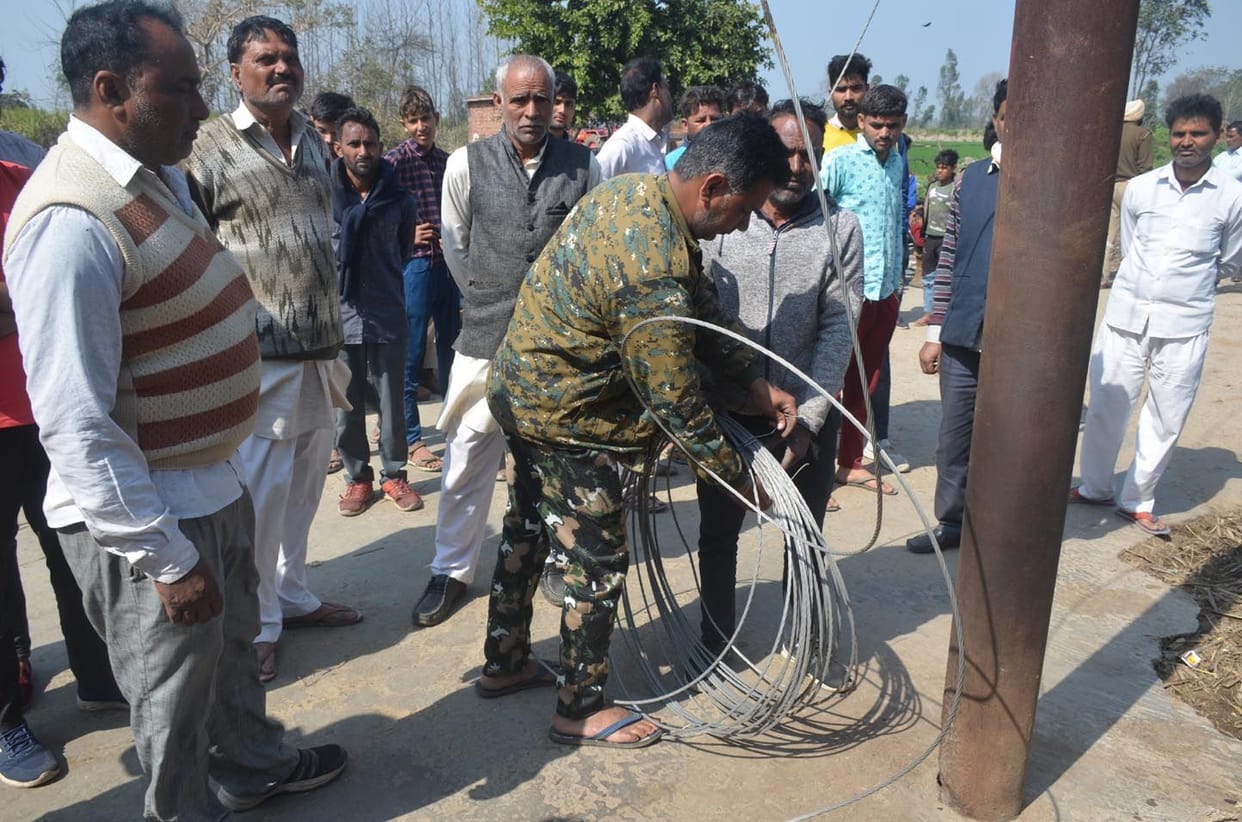 High voltage line wire broke and fell on animals