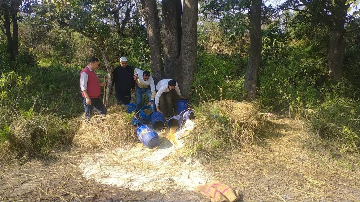 Excise team destroyed 1000 kg of Lahan