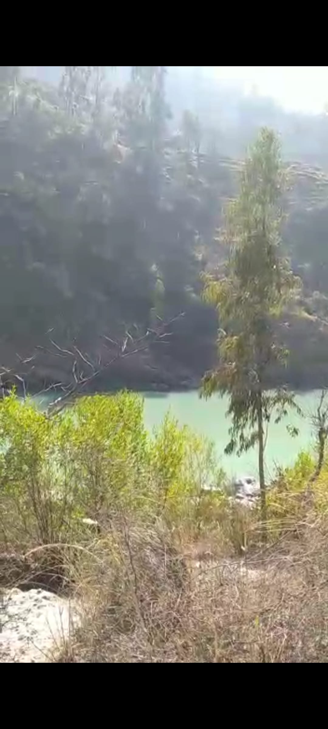 boy fall down in satluj river from jhula bridge in nither rampur