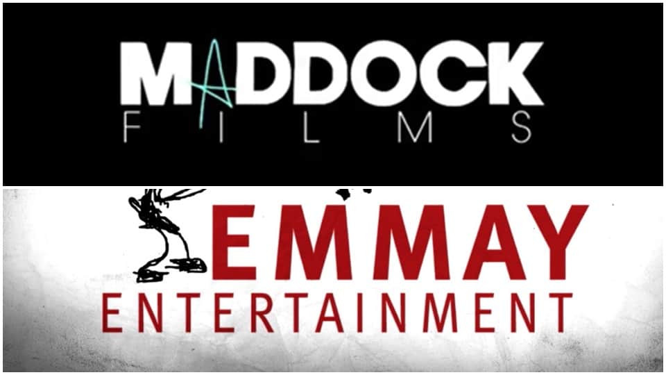 Nepean Capital acquires 50% stake in Dinesh Vijan Maddock Films now Emmay Entertainment likely to sell its equity