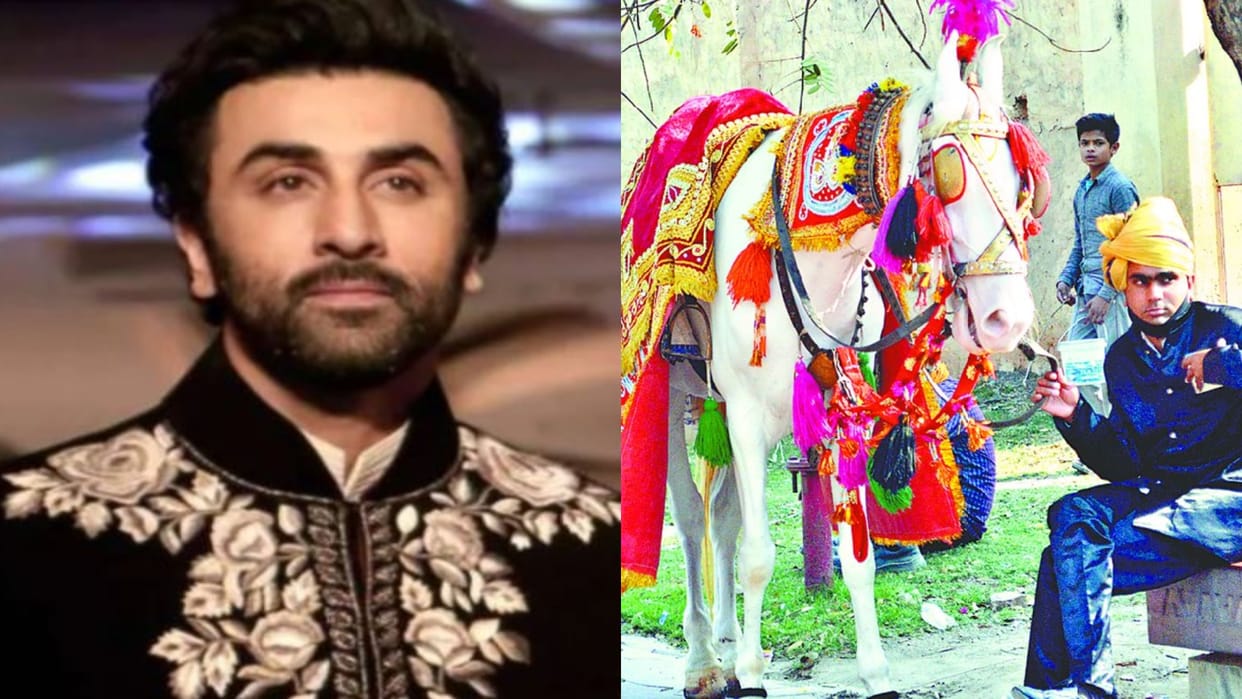 Ranbir Kapoor danced at Luv Ranjan and Alisha wedding in Agra