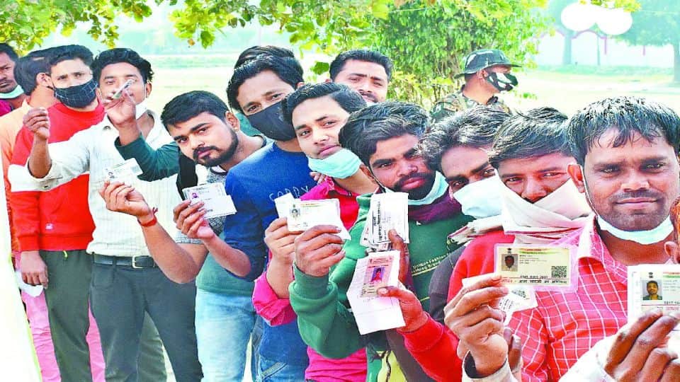 Up election 2022 karhal voting percentage highest turnout after 48 years in karhal mainpuri
