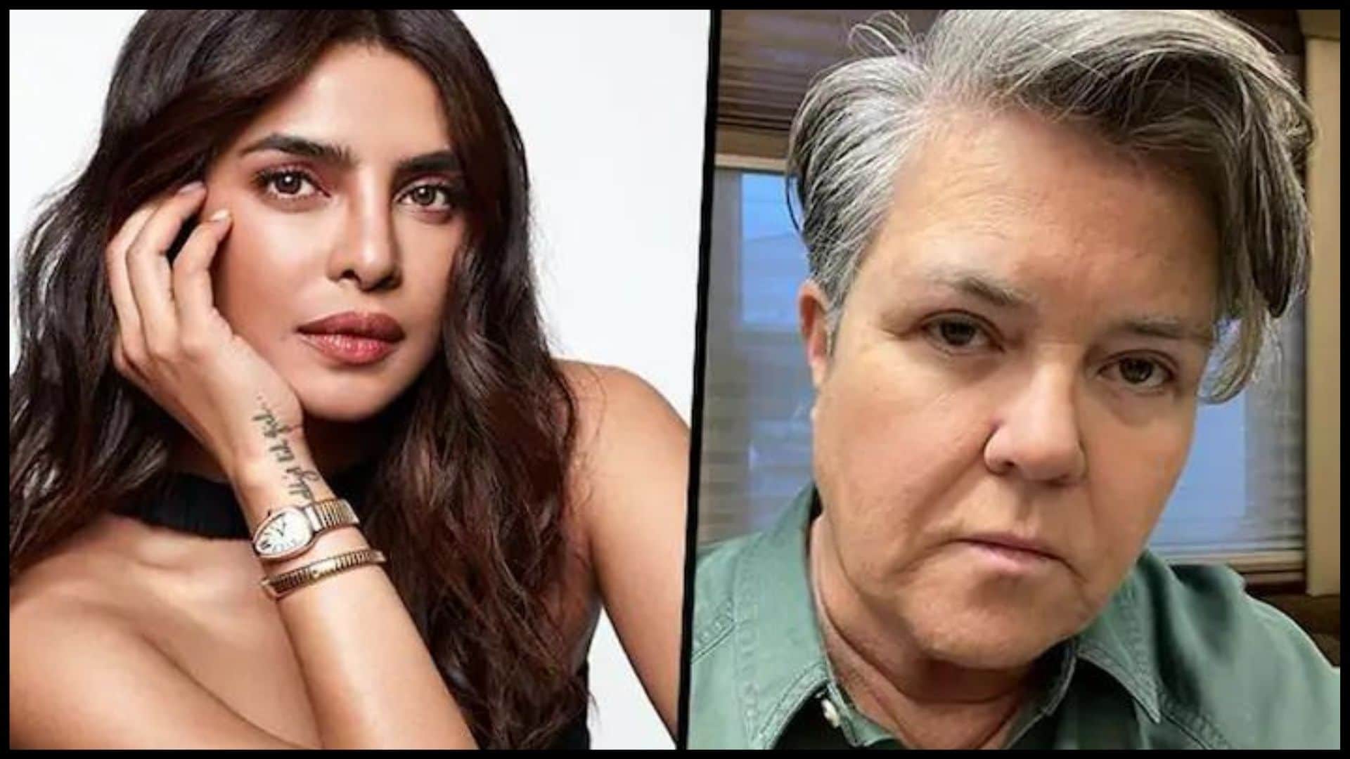 From Priyanka Chopra, Taapsee pannu, alia bhatt To Deepika Padukone Bollywood Celebs Schooled People On Social Media