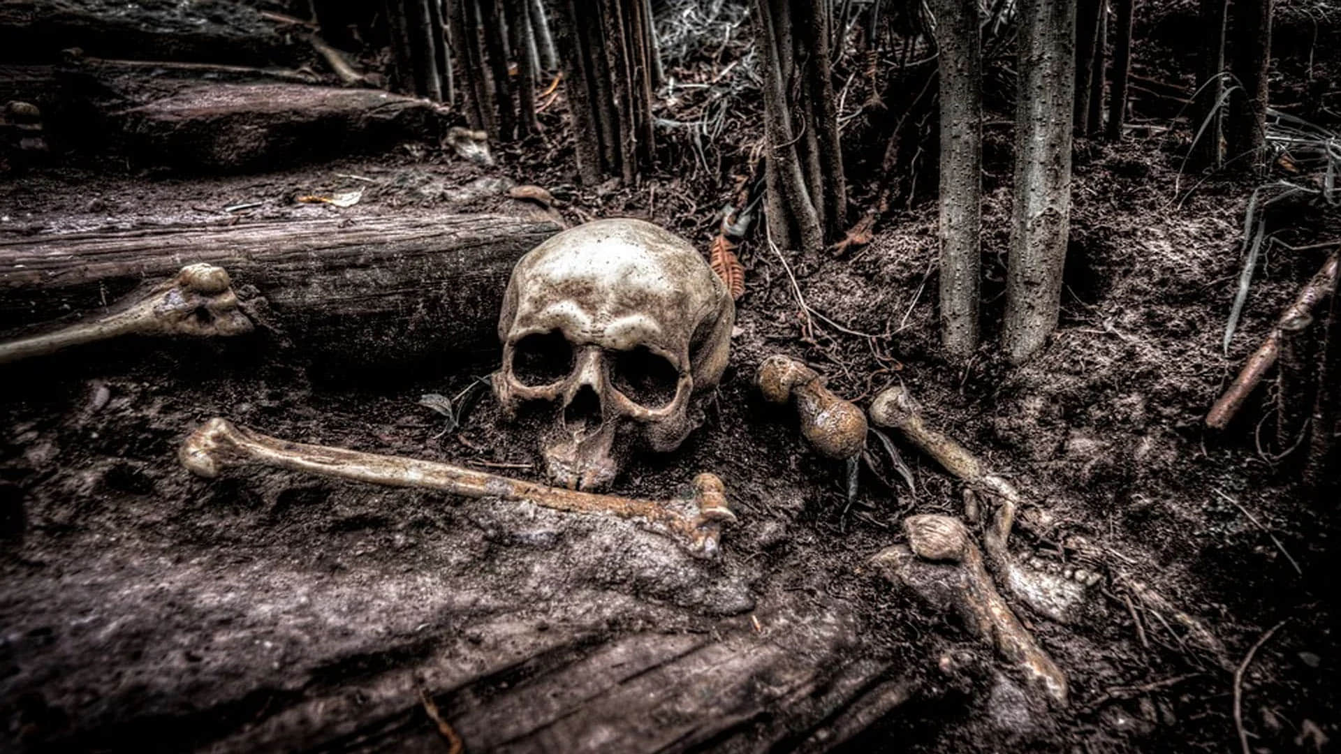 Archaeologists Found this Evidence of Thousands of Years ago Ear Surgery
