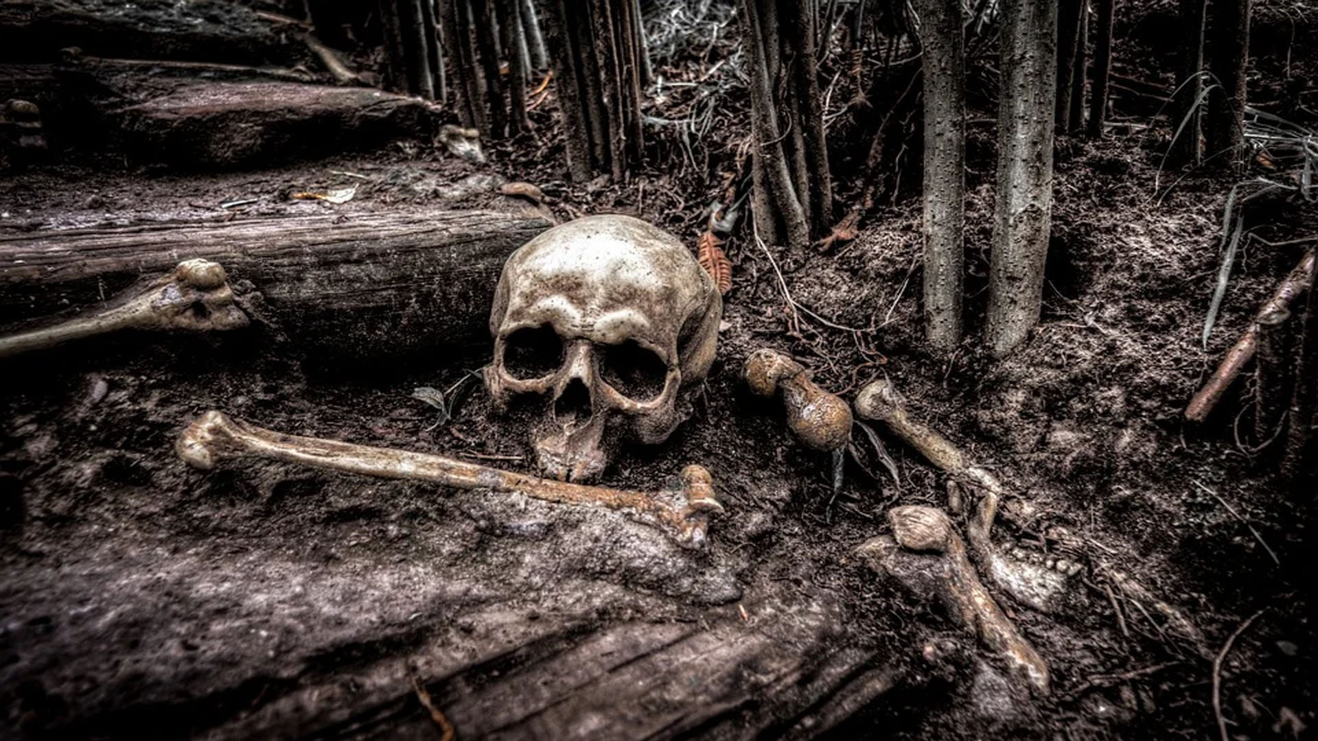 Archaeologists Found this Evidence of Thousands of Years ago Ear Surgery