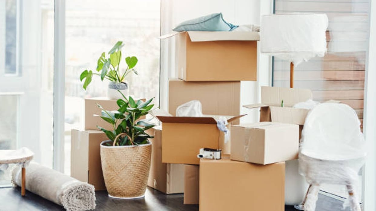 Business Idea You can earn 10 lakh rupees every month by doing business of cardboard box know all details