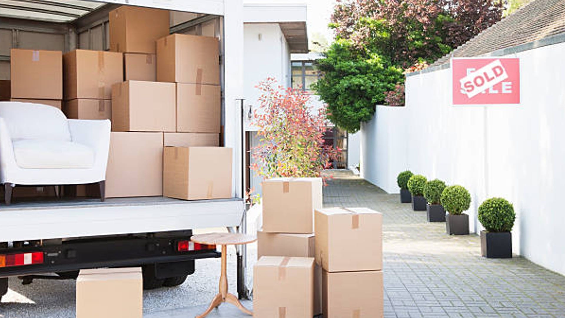Business Idea You can earn 10 lakh rupees every month by doing business of cardboard box know all details