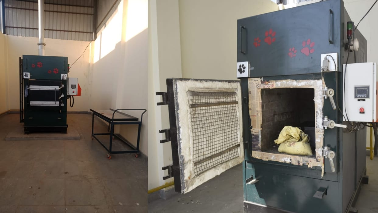 Ghaziabad first dog crematorium of UP PNG will be used know all about it