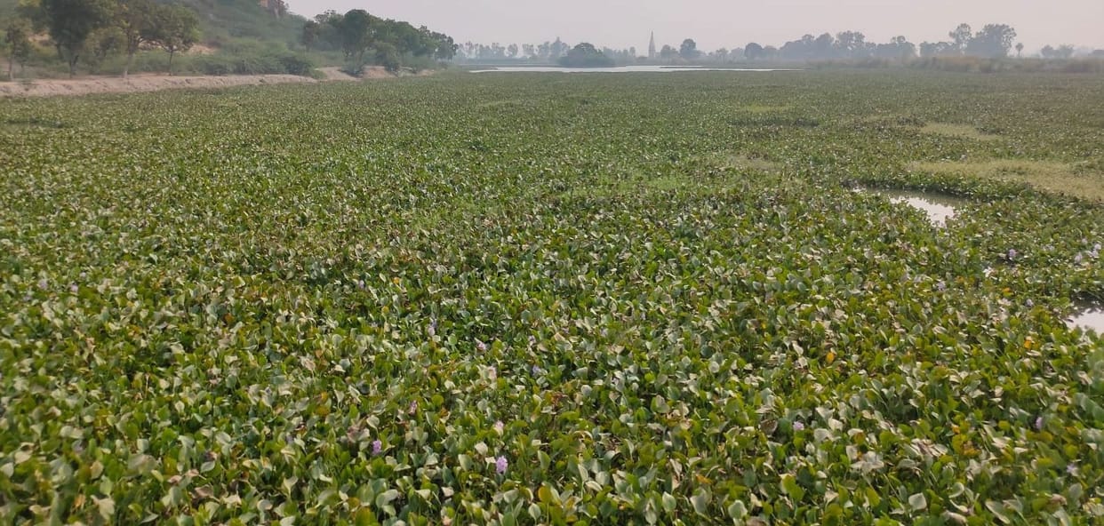 Maghai Lake will be beautified with 1.35 crores, Forest Department sent proposal to the government