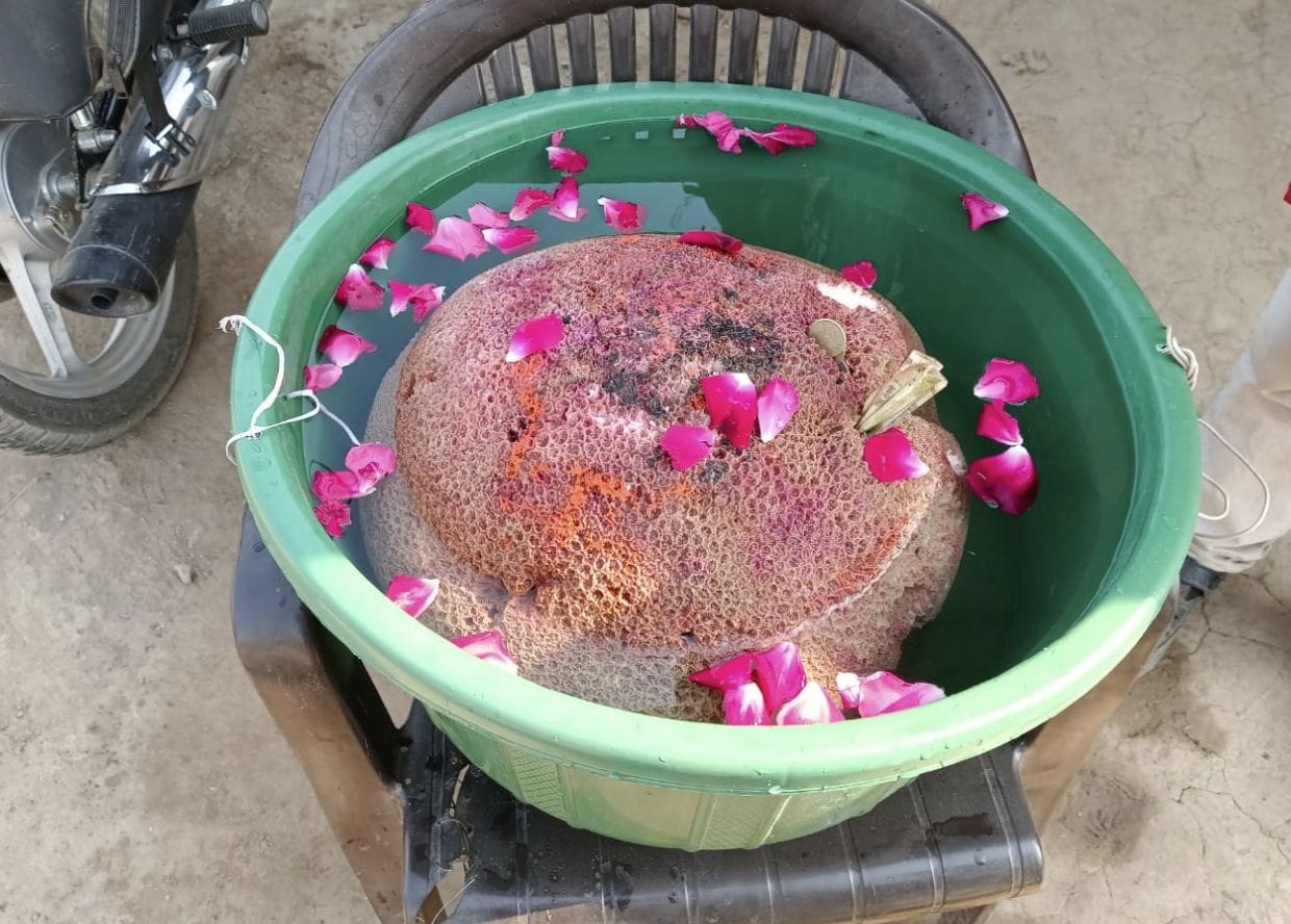 raameshvaram se raamasetu shila lekar nikale bhoopendr chaurasiya ne kathaphoree mein graameenon ko karae darshan