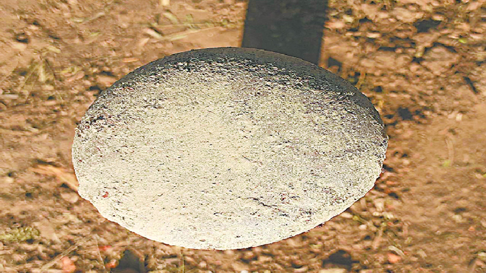 During the excavation on the second day, bangles made of terracotta ringwell and conch were found