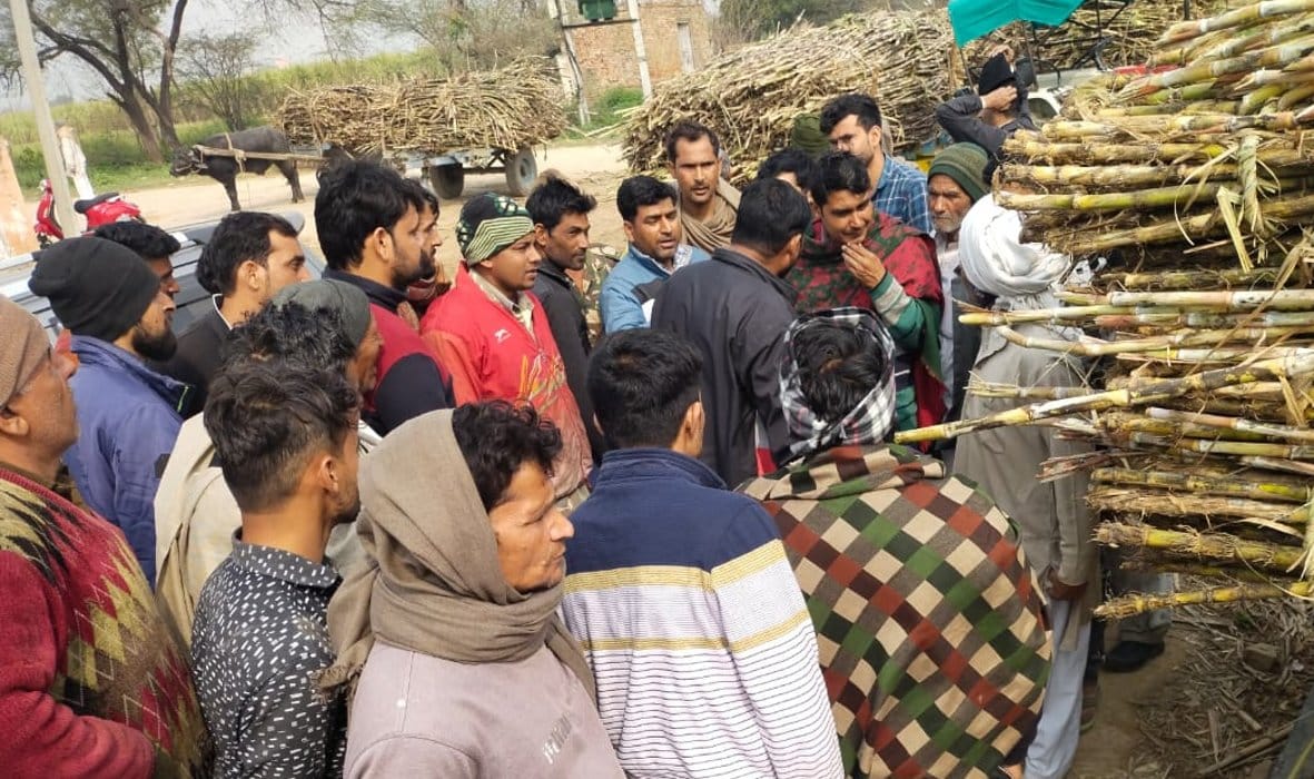 Uproar against the reduction of sugarcane farmers