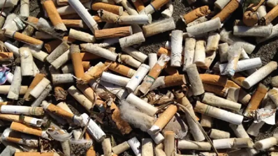 Over 600 kg of narcotics worth Rs 500 cr, 1 crore cigarettes destroyed by Mumbai Customs