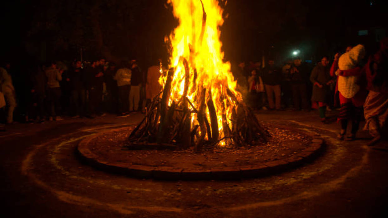 Holika Dahan 2022: Importance of Trees on the Occasion of Holika Dahan