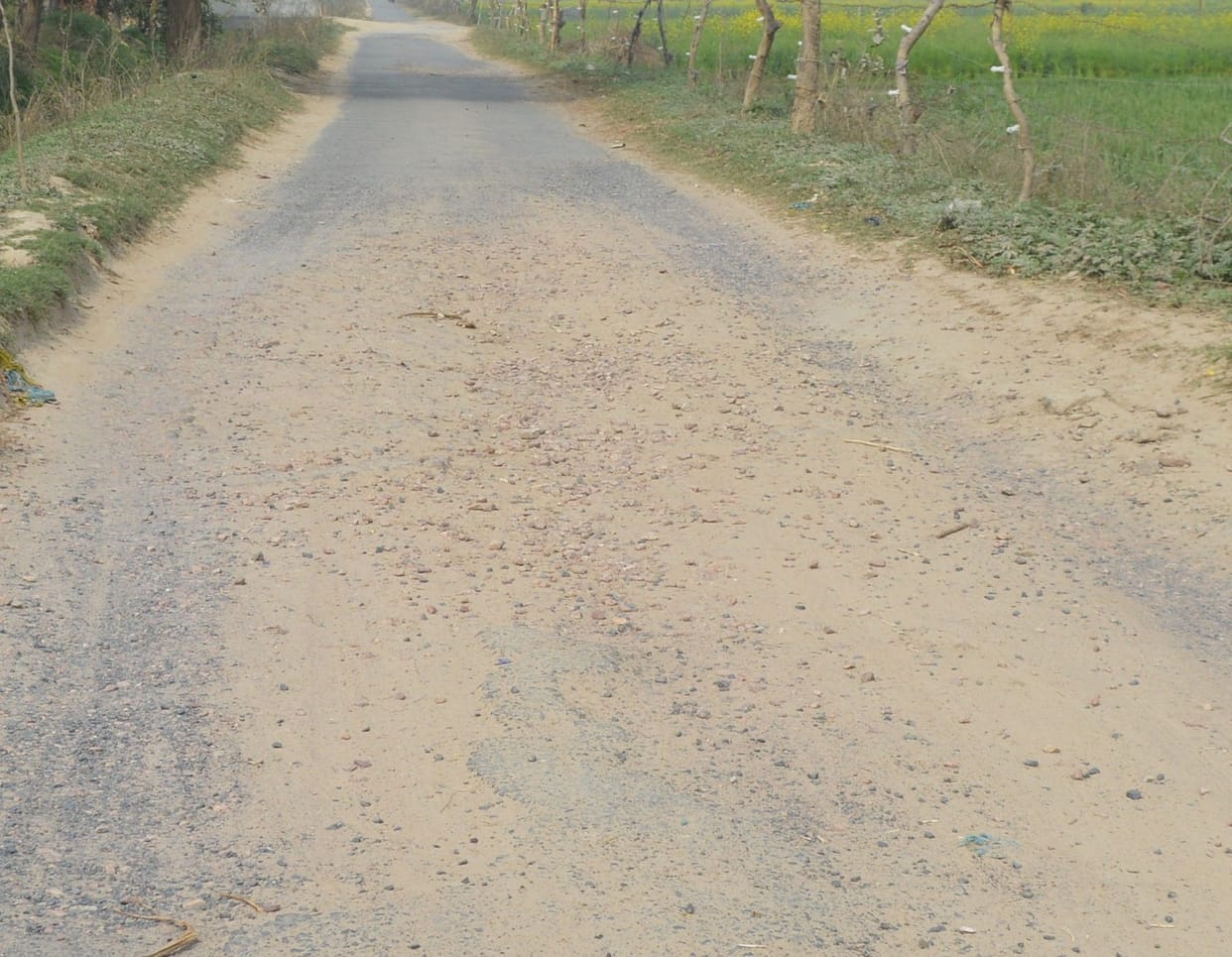 Hathras: On Mahashivratri, pebbles will prick the feet of Kanwariyas