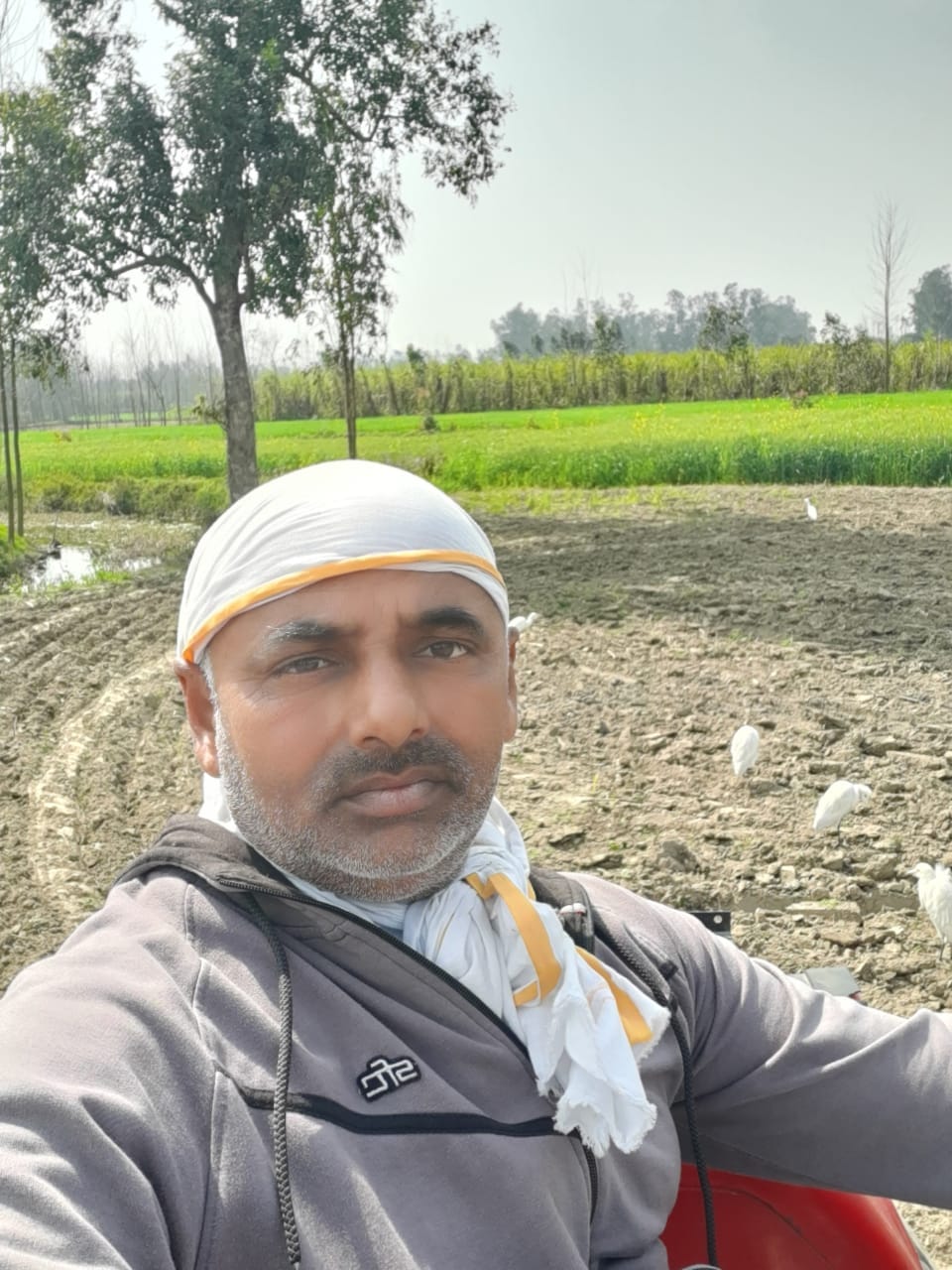 Lack of funds became an obstacle in sowing sugarcane
