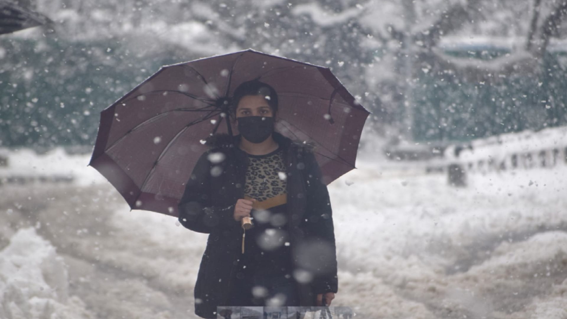 Snowfall in Kashmir, rain in Jammu division