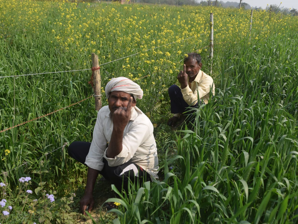 Responsibility played by voting with farming