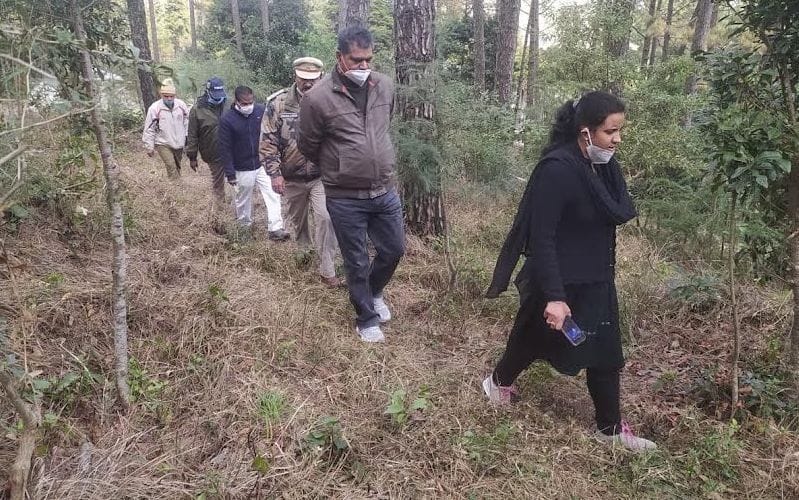 Increase patrolling to prevent incidents of forest fire