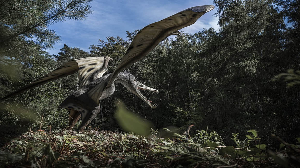 Flying Reptile: Know Surprising Facts About Flying Devil Who is Millions of Years Old