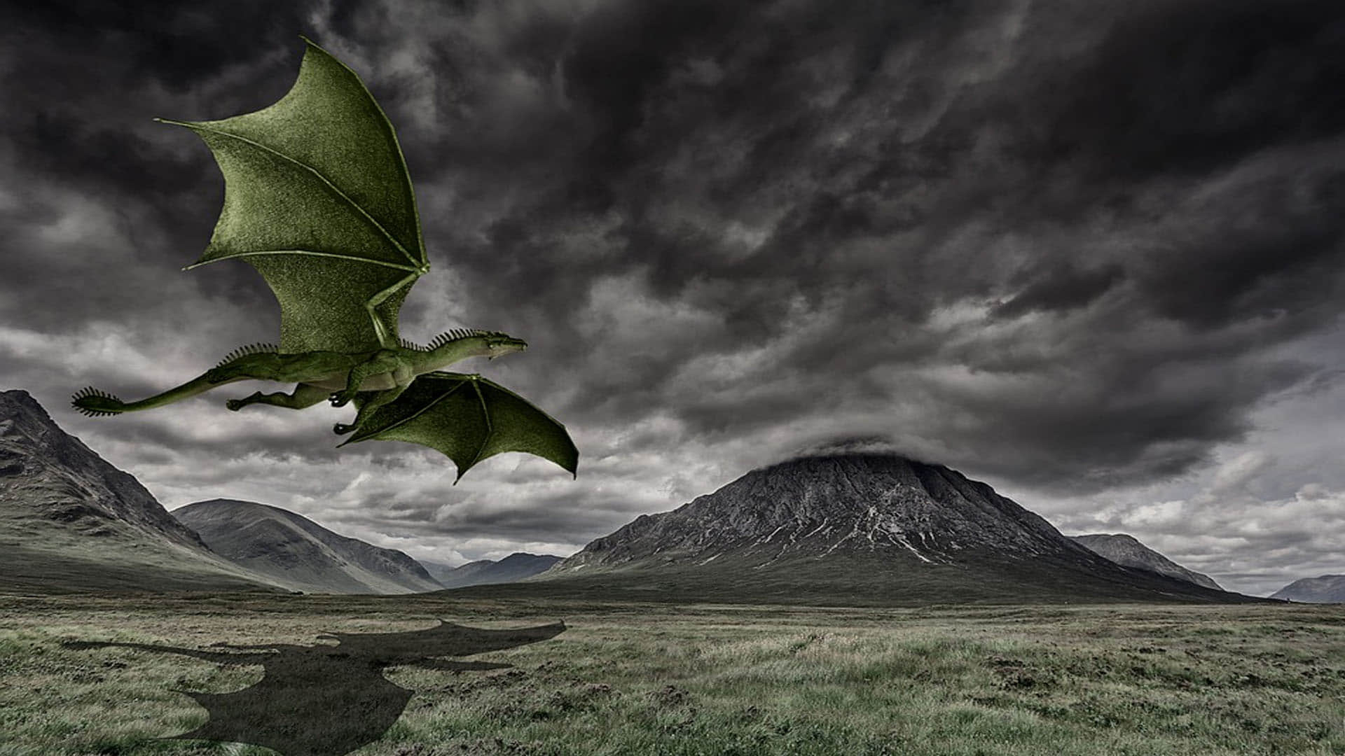 Pterosaur Skeleton Found in Britain Dangerous Hunter Ruled In Sky Million Years Ago News in Hindi