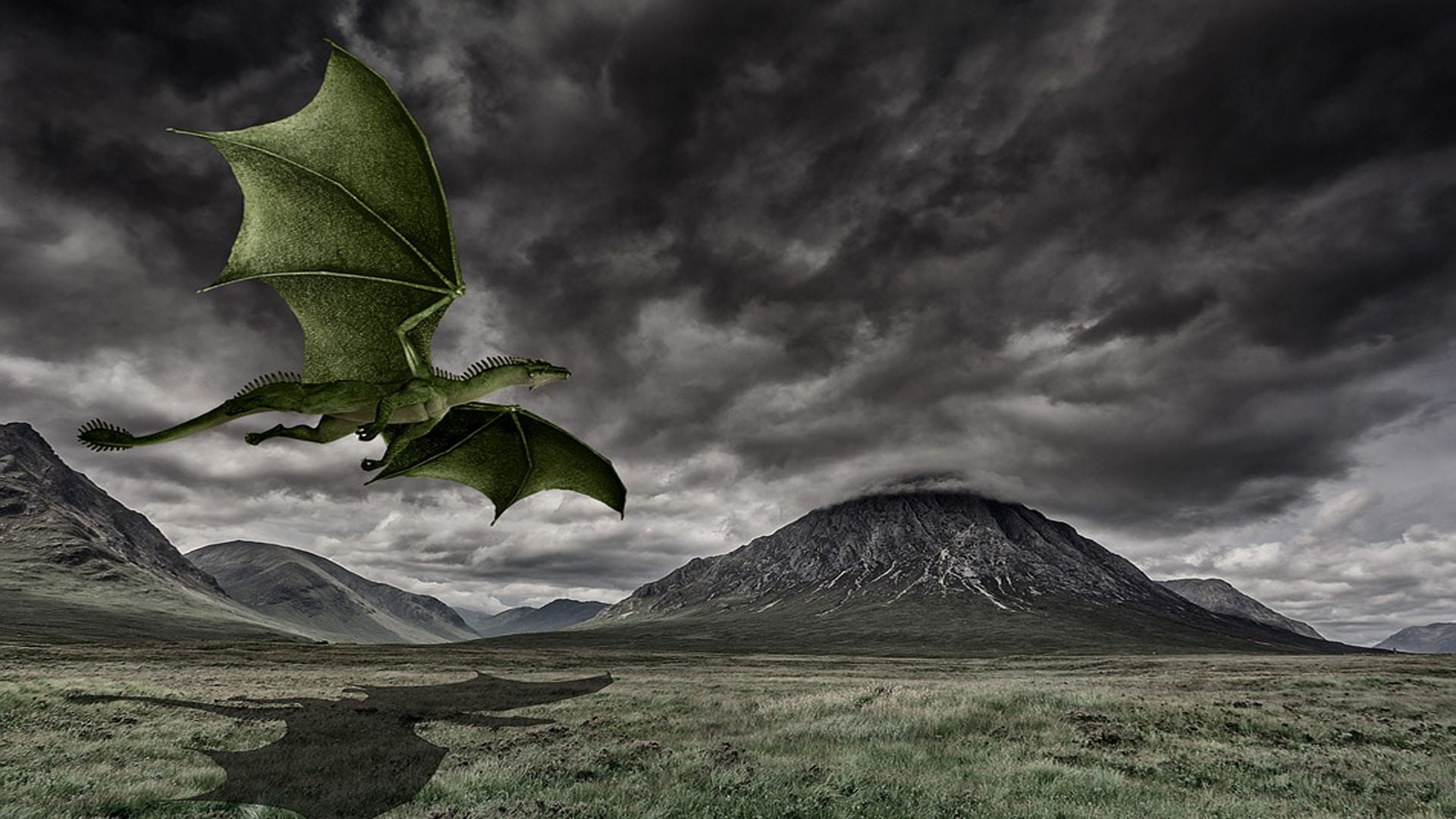Pterosaur Skeleton Found in Britain Dangerous Hunter Ruled In Sky Million Years Ago News in Hindi