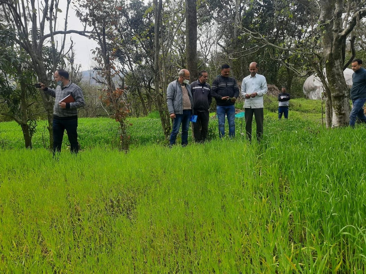 officials inspected the fields