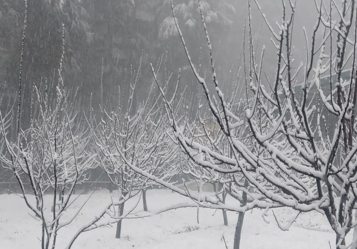 Apples finish chilling hours ahead of time