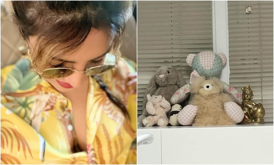 Bollywood Actress Priyanka Chopra share picture of her family enjoying motherhood after baby birth