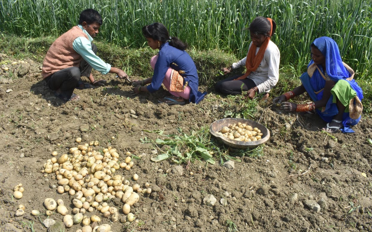 kisan,matdaan,kheti