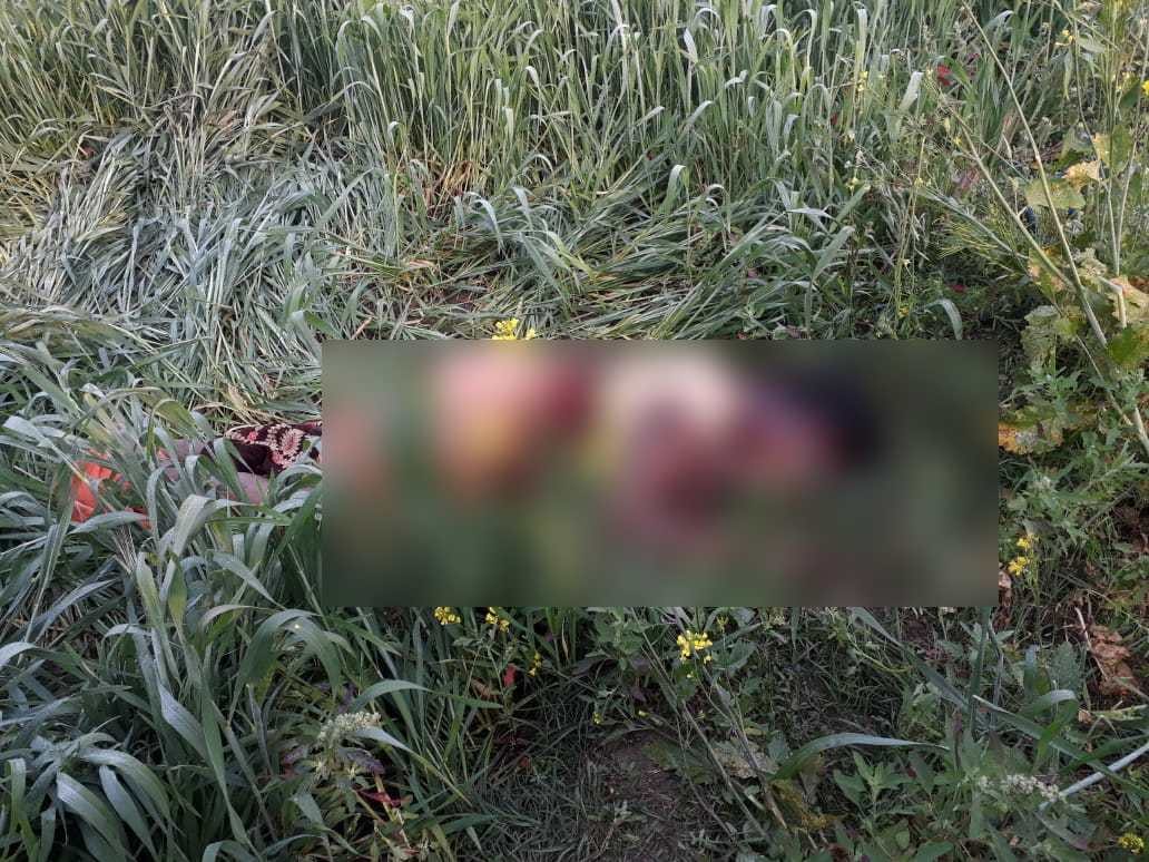 Husband killed his wife on suspicion of illegal relations, came under investigation by the forensic team