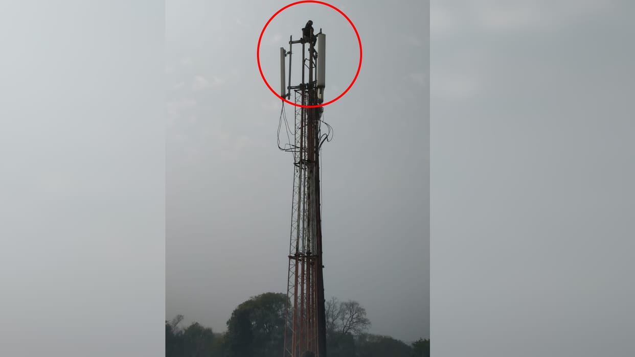 young man came for treatment climbed on mobile tower in Gorakhpur