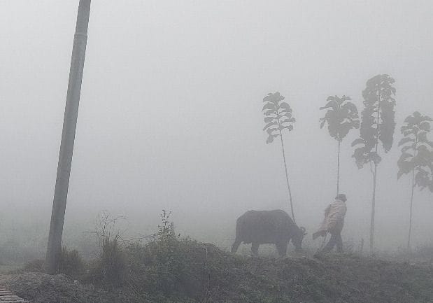etawah