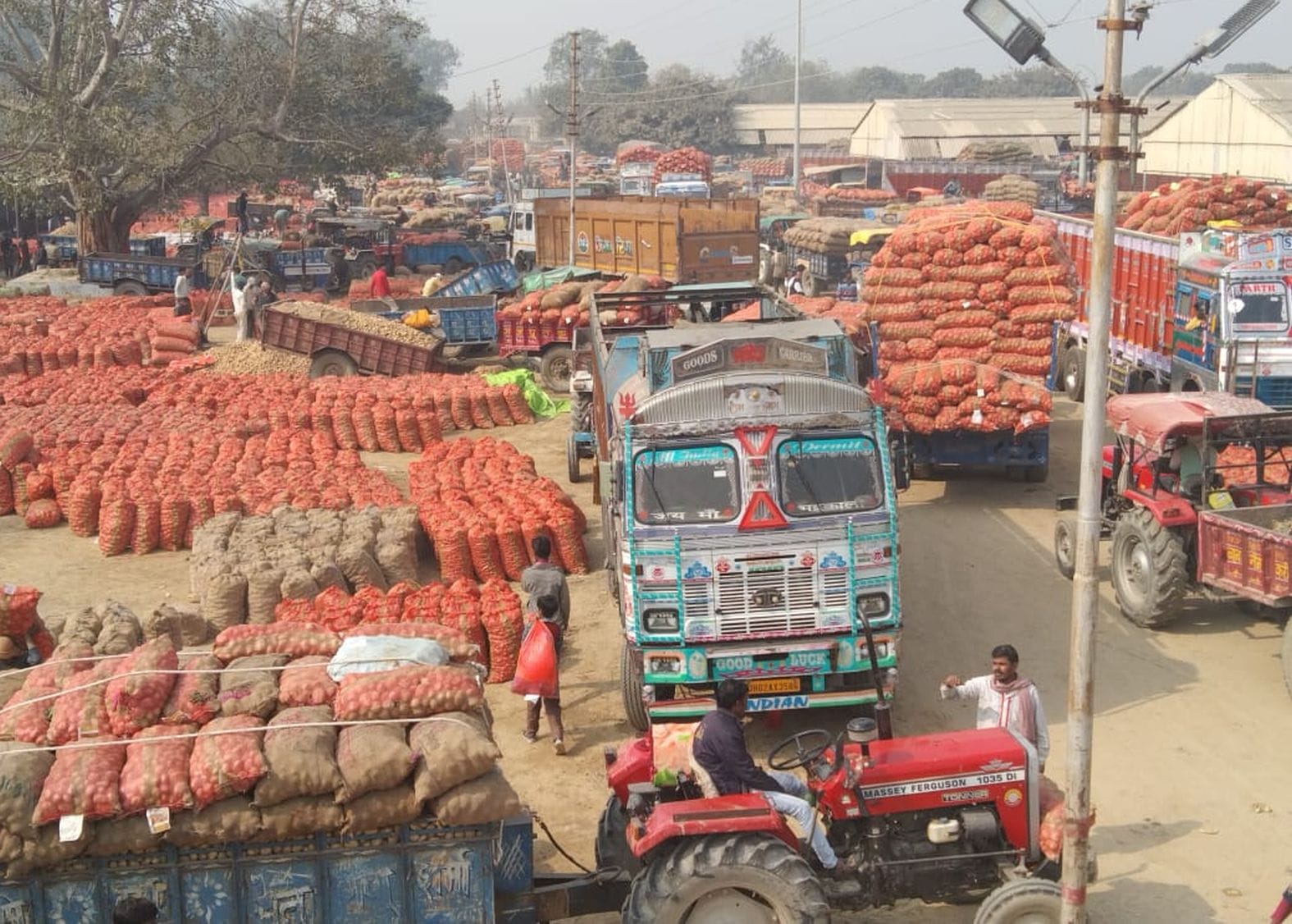 Due to the bumper arrival of potatoes, there is jam everywhere in the market, not being able to lift