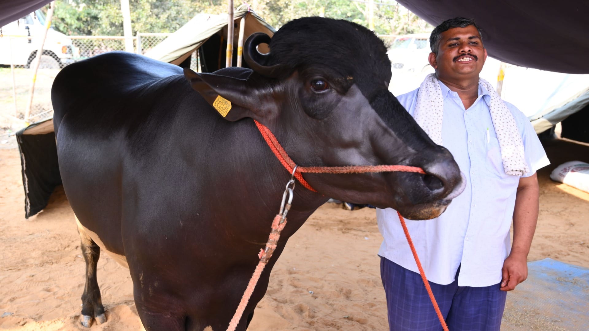 State level animal exhibition in Bhiwani of Haryana