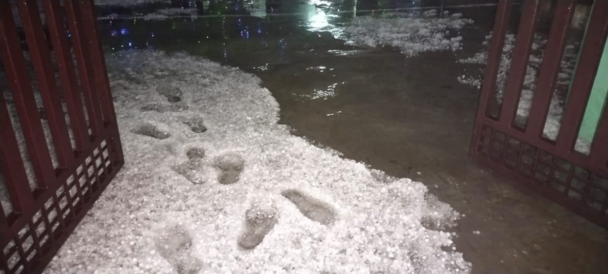 Mustard and wheat crops ruined due to rain and hailstorm with strong wind