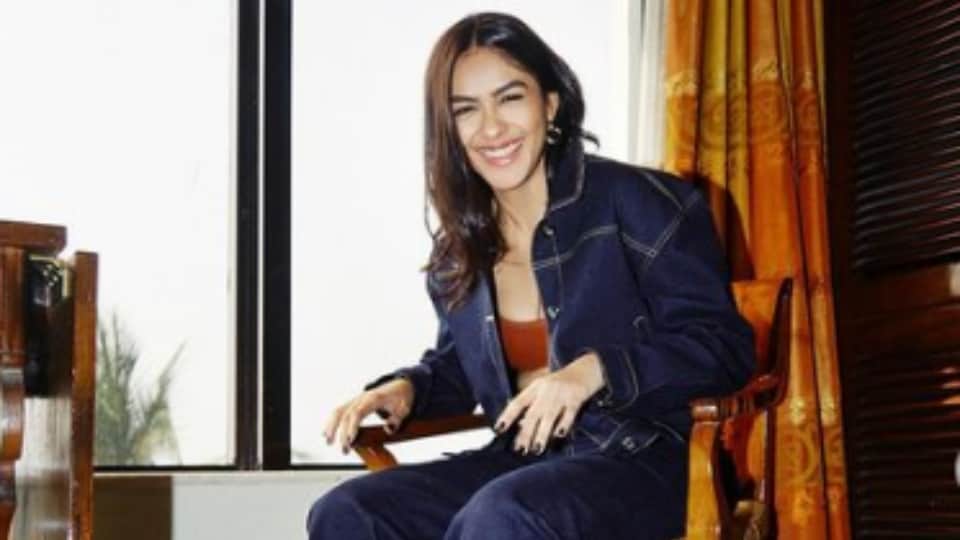 Shahid kapoor to mrunal thakur know about jersey star cast fees detail film collection