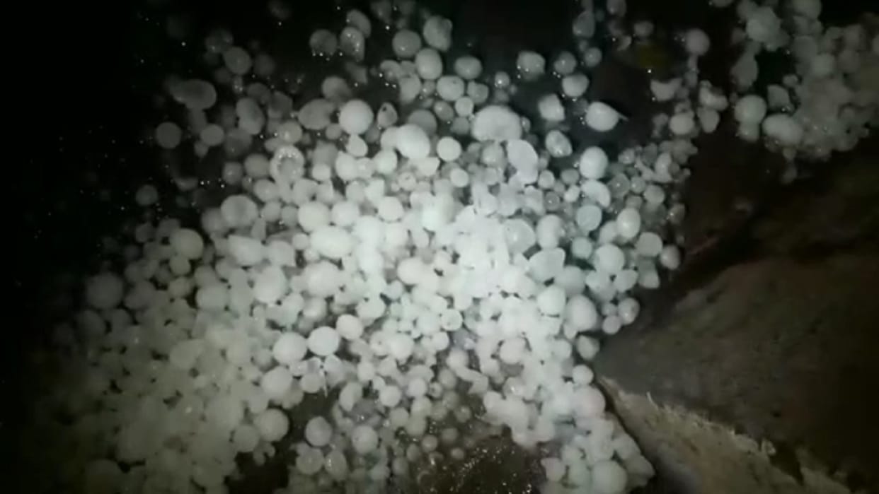 UP News: Hailstorm damages maximum crops in Lalitpur, Amethi, Pratapgarh and Bulandshahr also affected