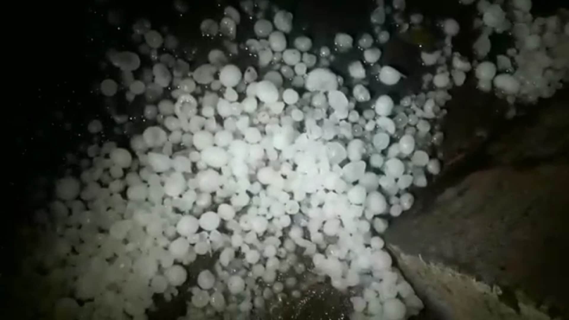 Weather Update: rain with hailstorm in Saharanpur heavy losses of farmers see photos