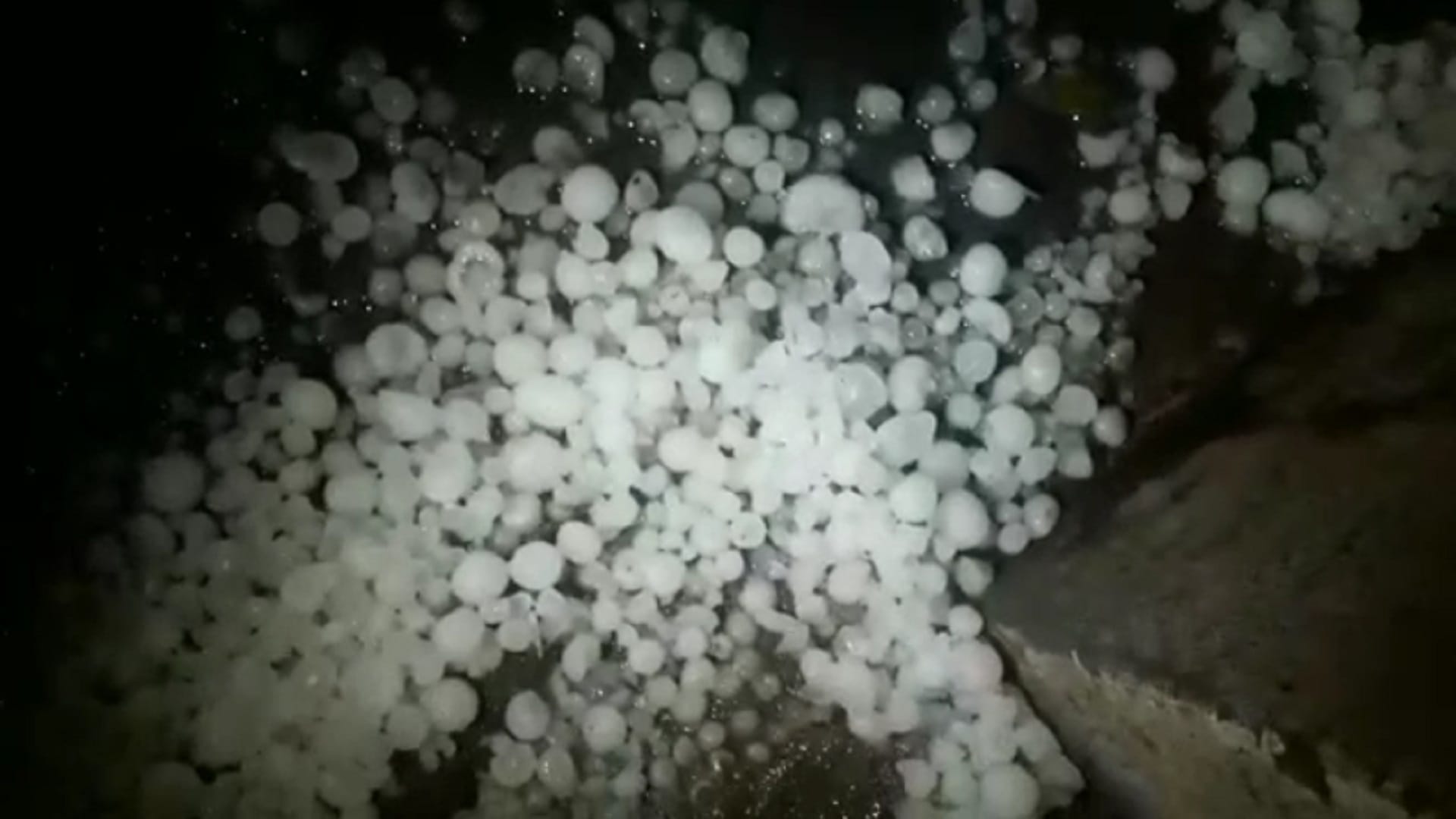 Weather Update: rain with hailstorm in Saharanpur heavy losses of farmers see photos