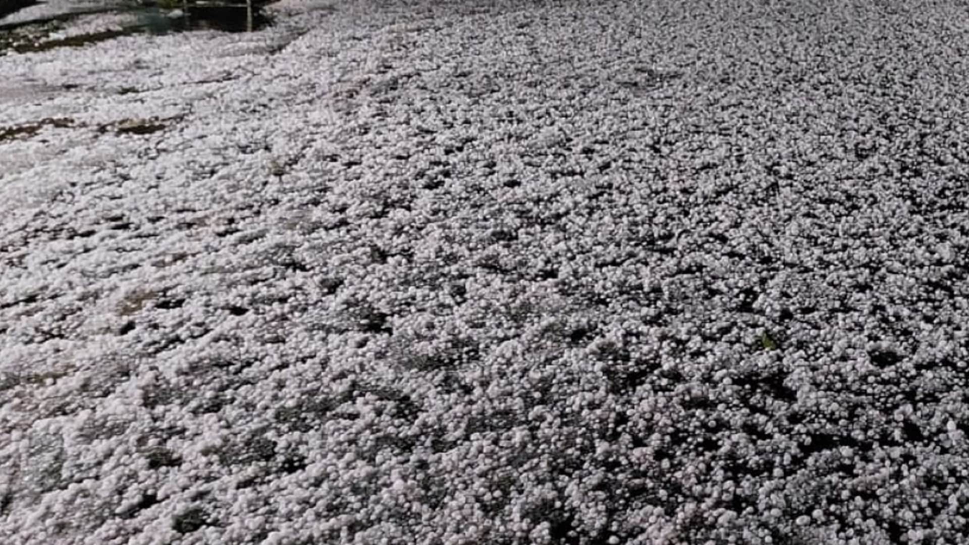 Weather Update: rain with hailstorm in Saharanpur heavy losses of farmers see photos