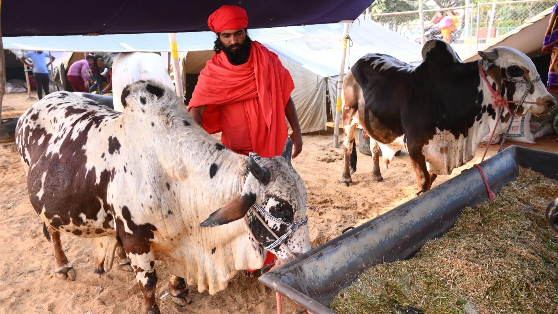 State level animal exhibition in Bhiwani of Haryana