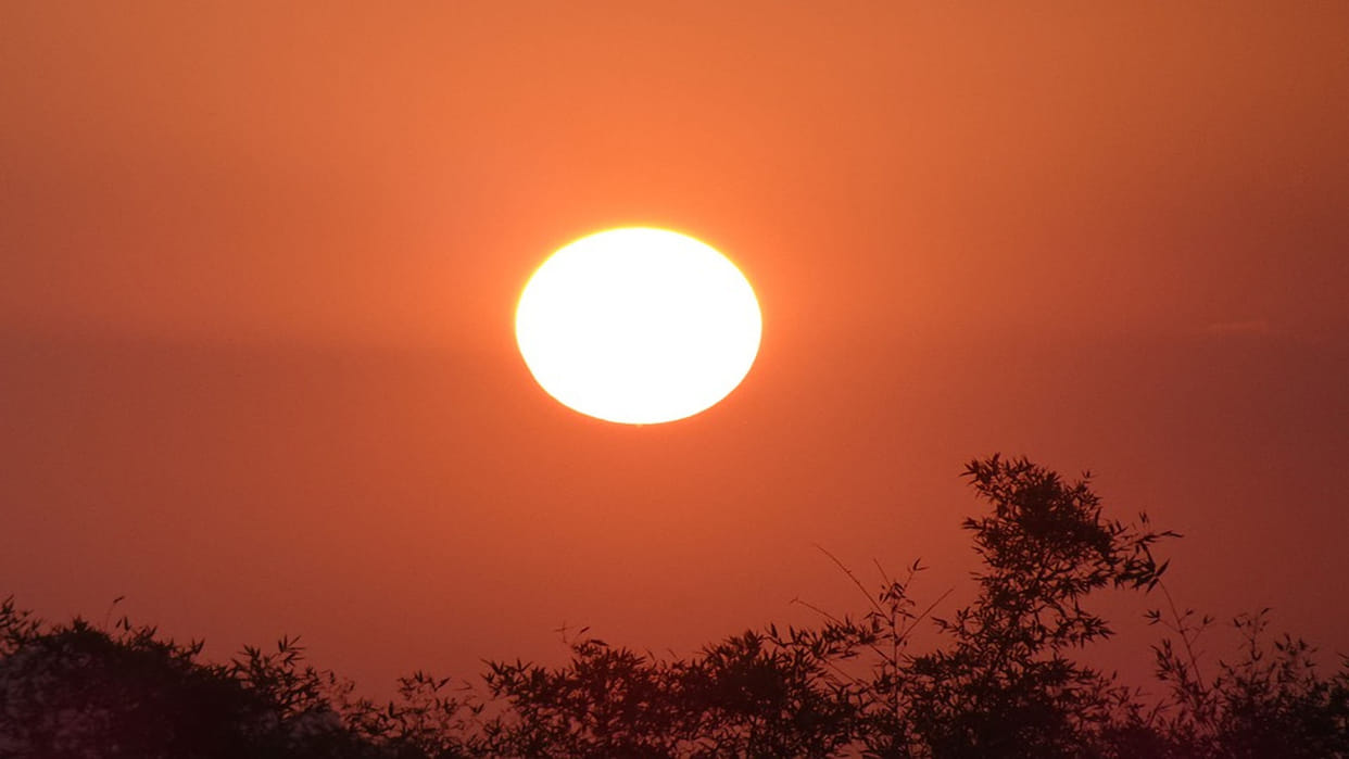 Dont negligent after seeing the sun get sick
