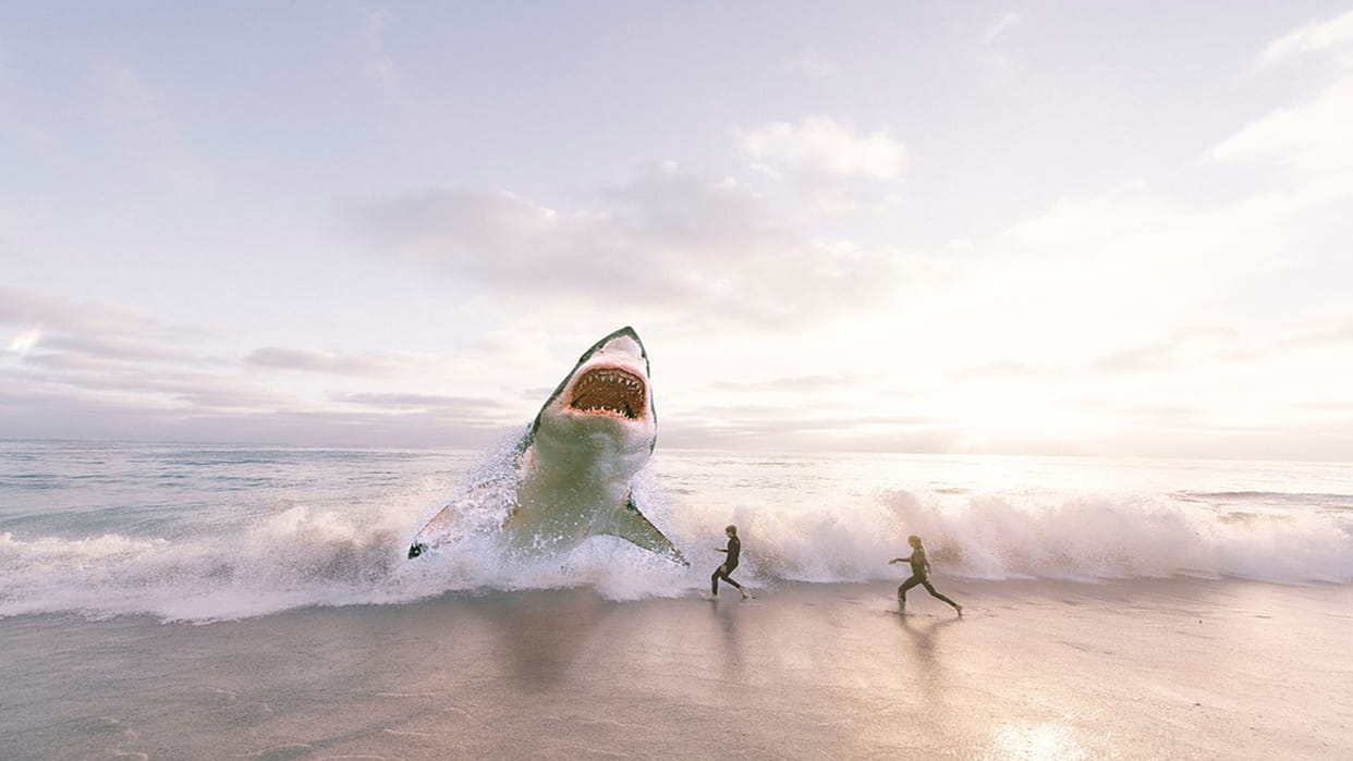 whale shark spotted at srikakulam coast andhra pradesh people take selfie