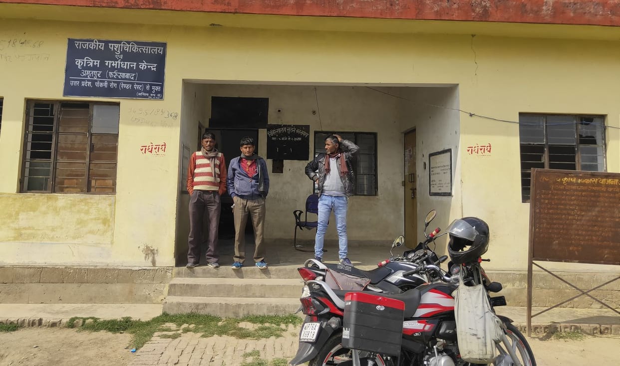 15 animals sick, doctors do not take medicines in the hospital