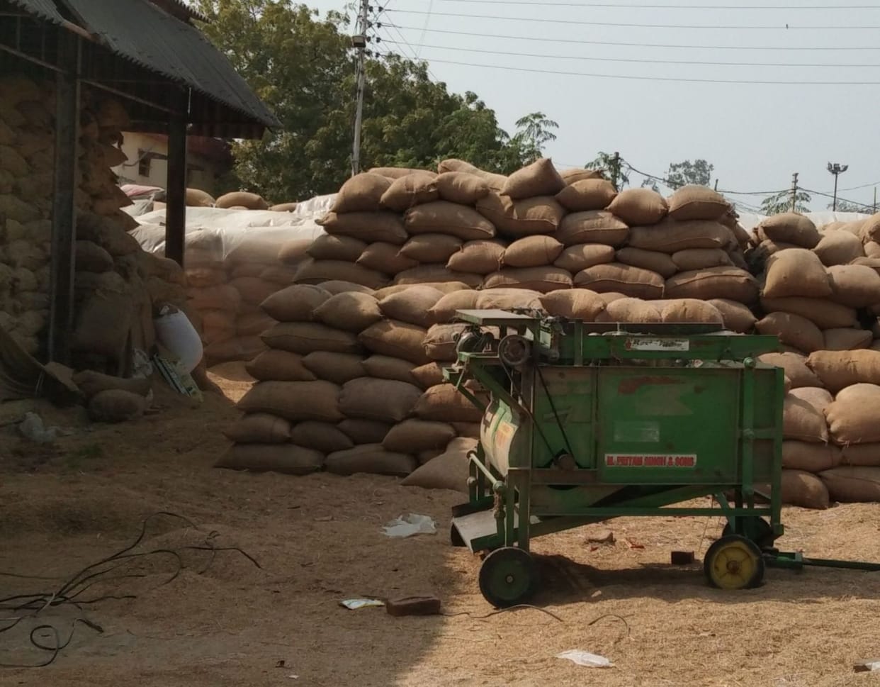 Now two days are left for government procurement of paddy, till now 95 percent farmers have been paid