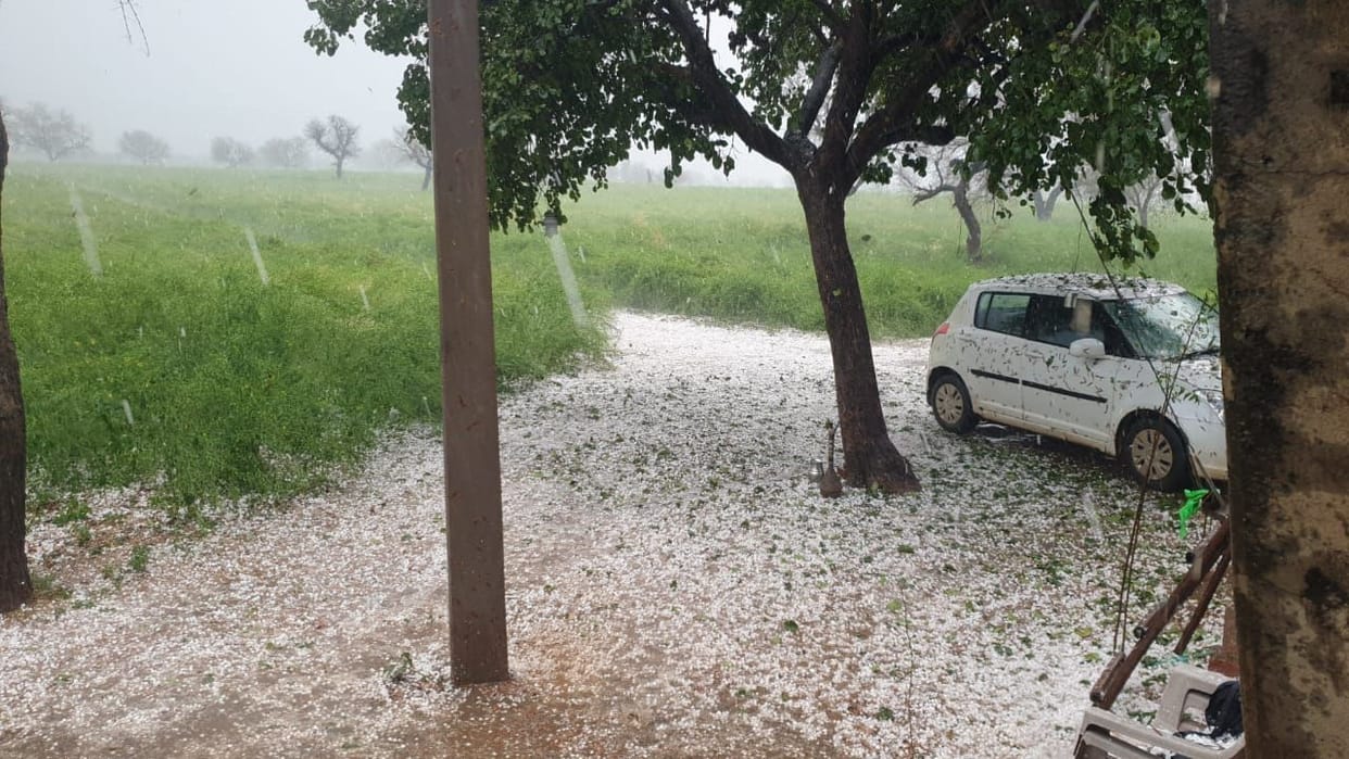 Hail fell on the wishes of farmers, 30 to 50 percent damage to crops due to hailstorm for 20 minutes